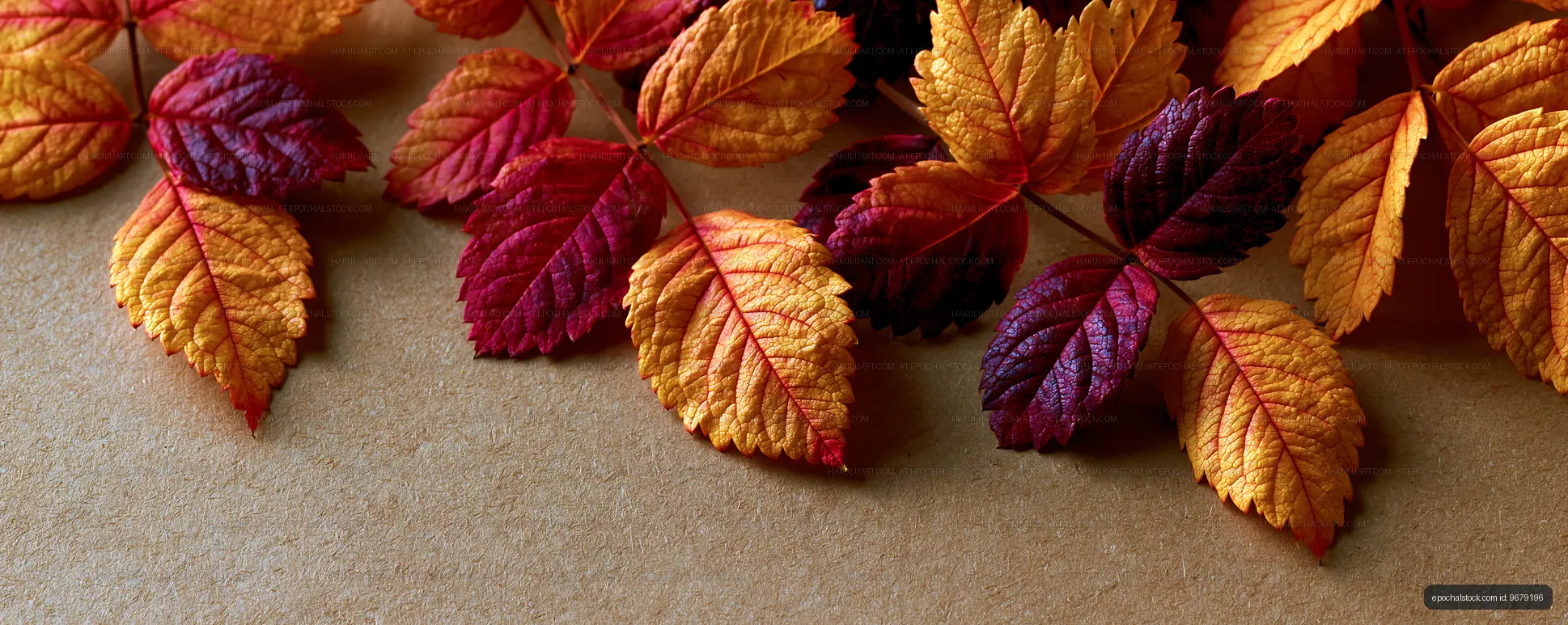 Colorful autumn leaves on a brown background
