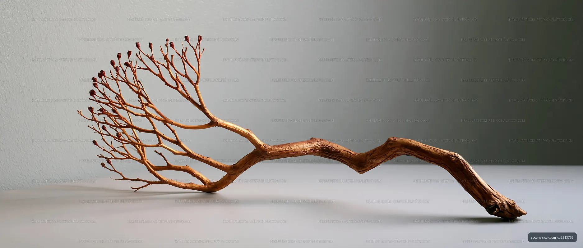 Natural branch with delicate twigs on a neutral background