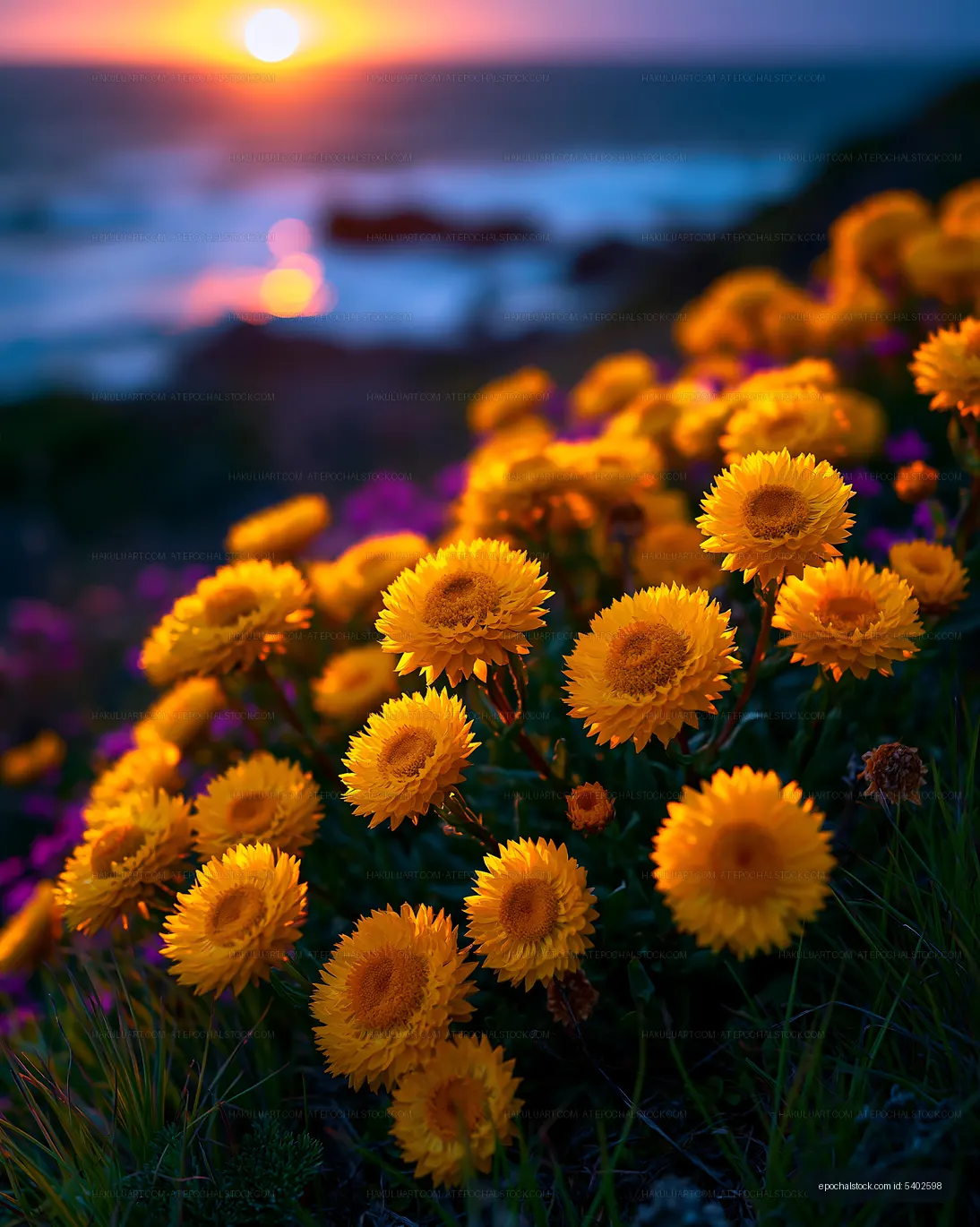 Yellow flowers bloom by the ocean at sunset