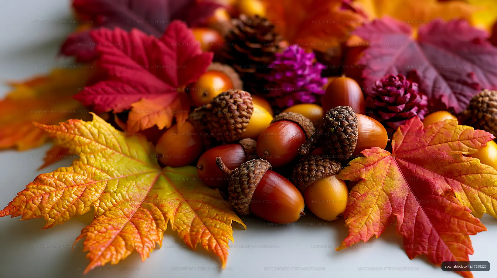 Colorful autumn leaves and acorns arranged on a table