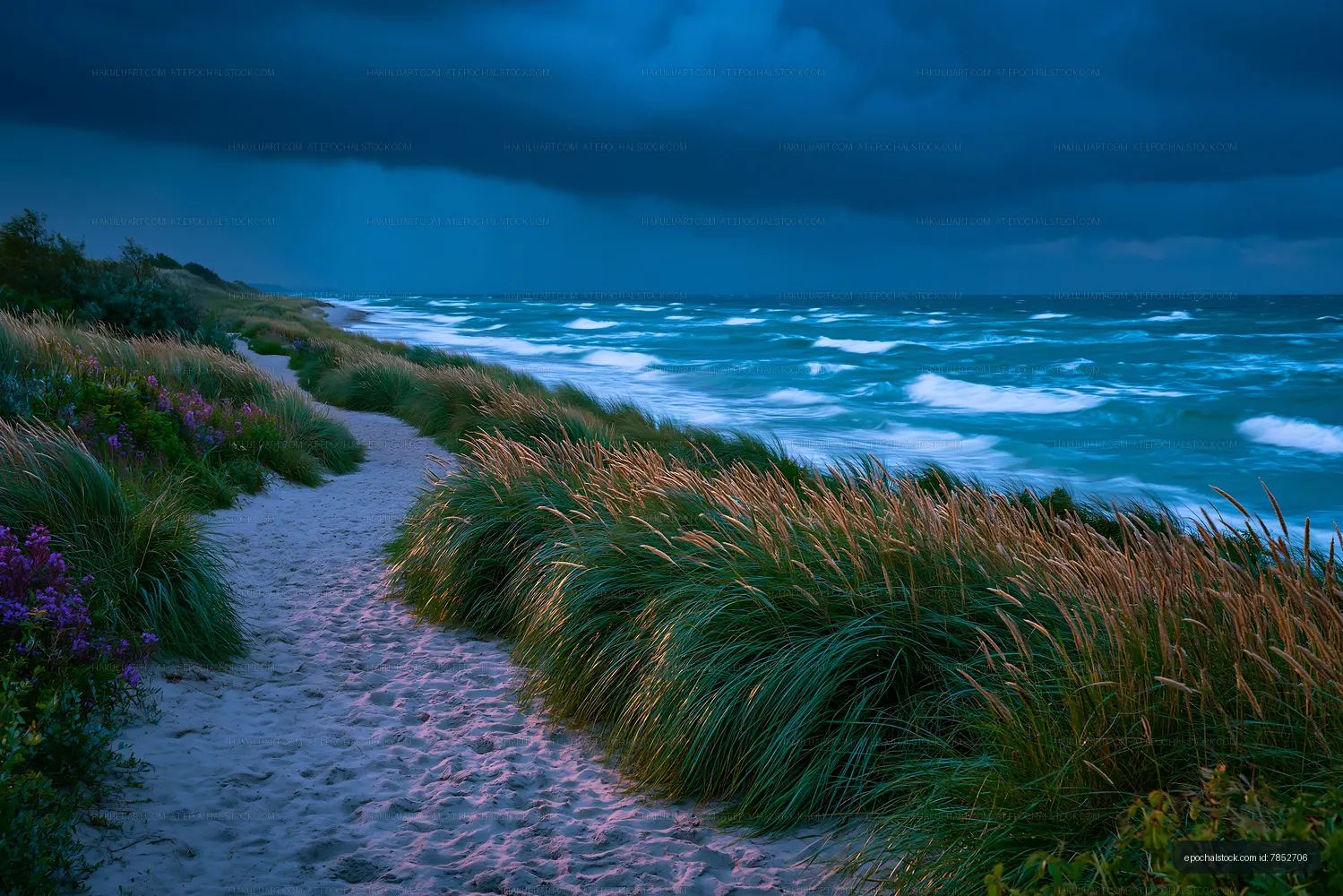 Weather over ocean with grass and path along the shore