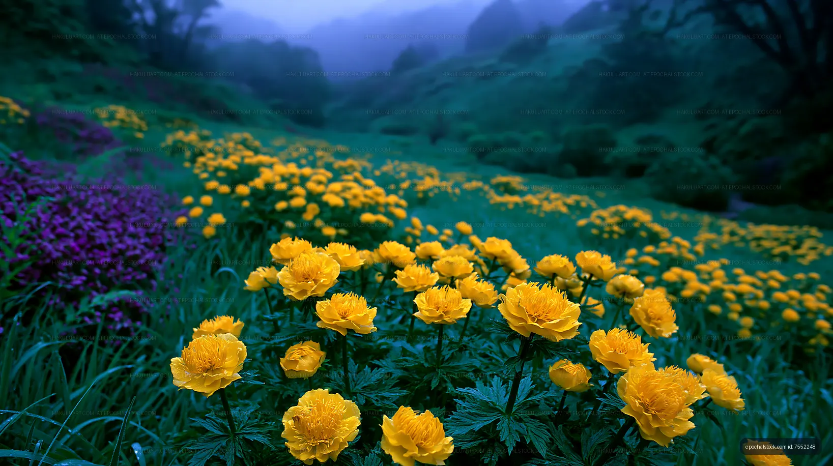Yellow flowers bloom in a green valley during early morning