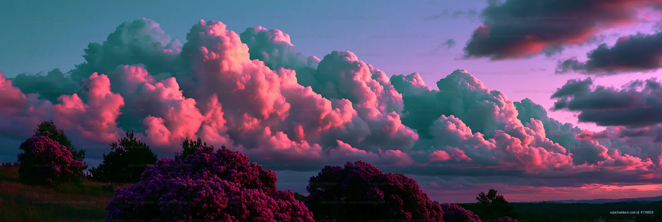 Colorful clouds at dusk above blooming flowers in a landscape