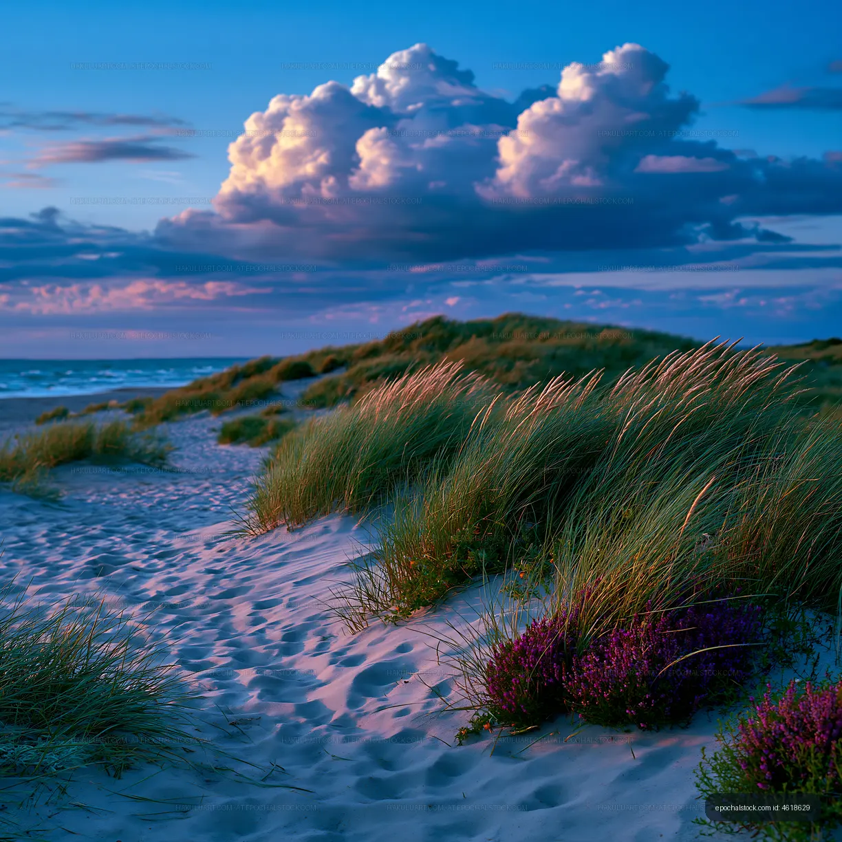 Dunes and grasses at the beach under a colorful sky