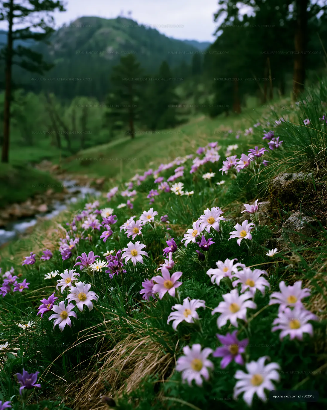 Wildflowers blooming by a stream in a green valley