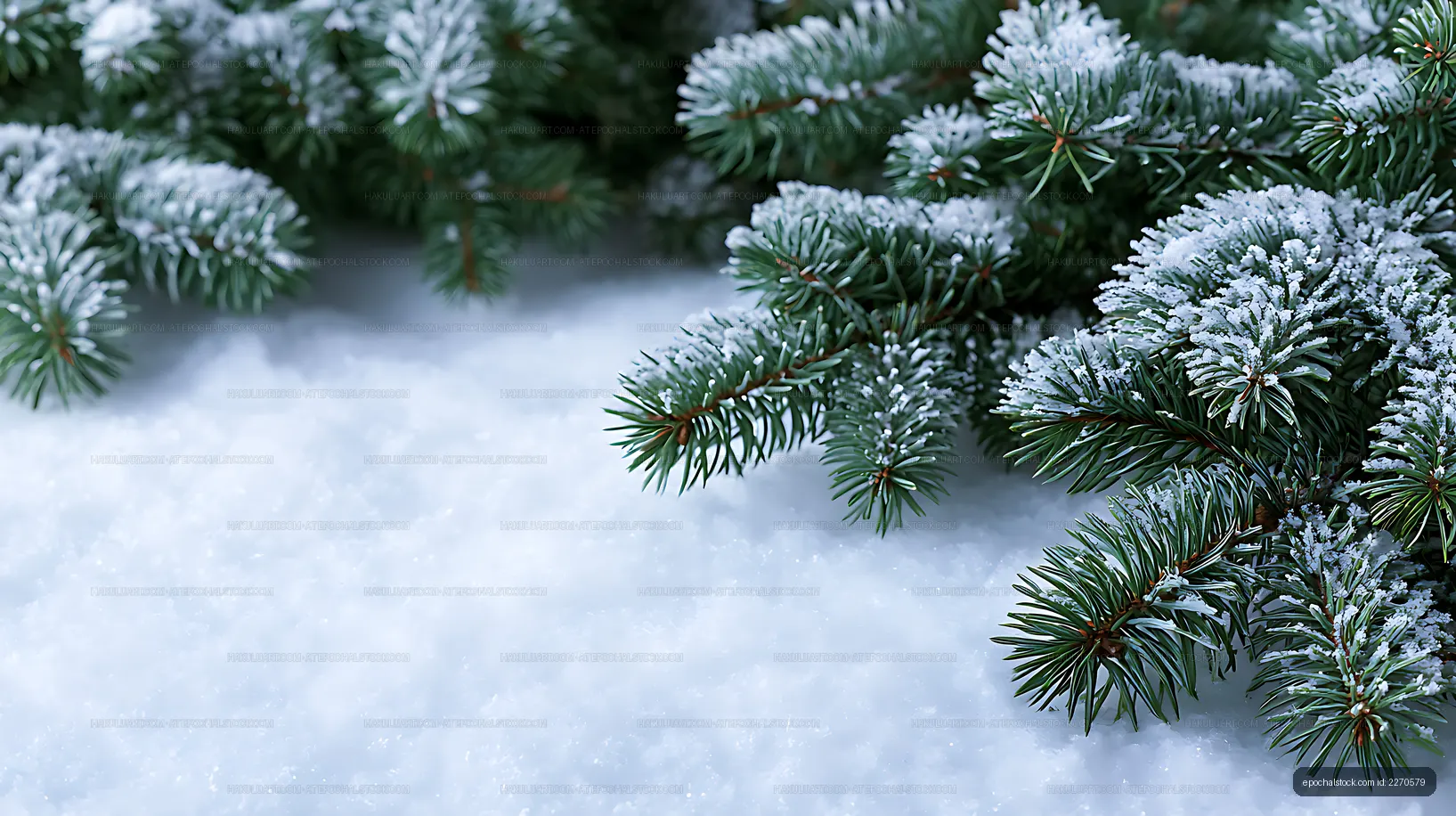 Winter green branches covered in snow on the ground