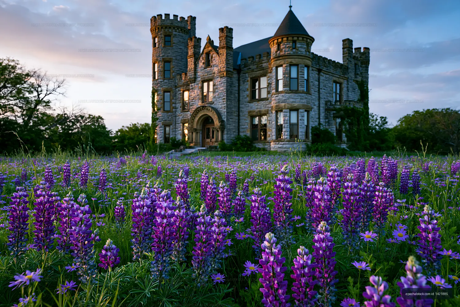 Historic castle surrounded by blooming flowers at sunset