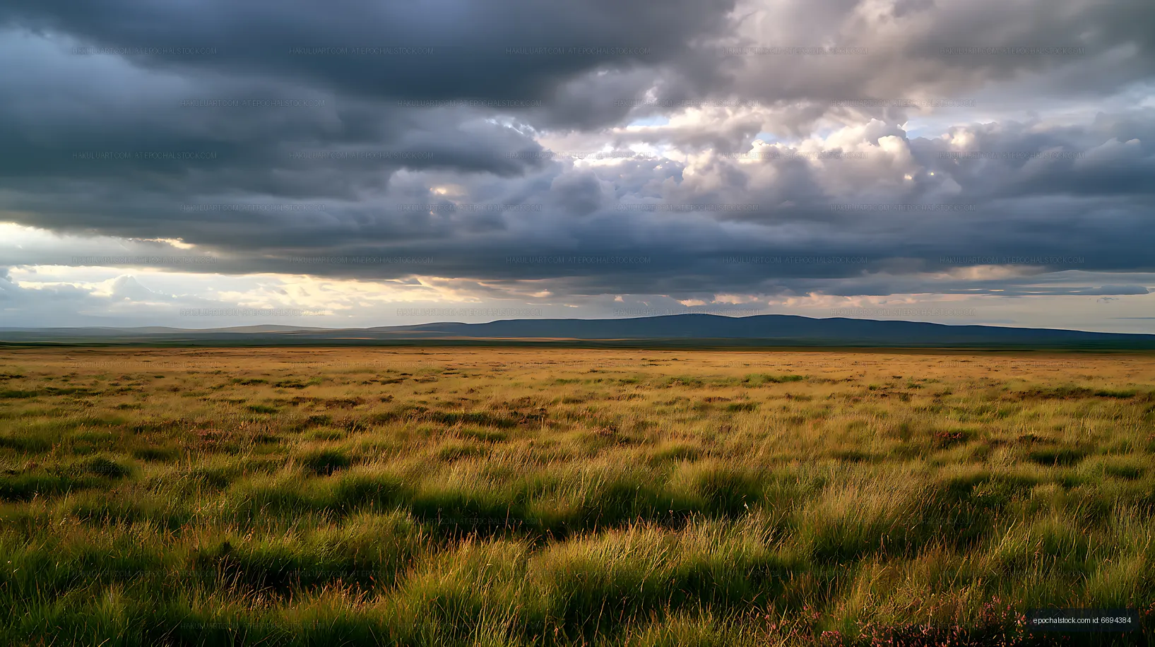 Vast grassland under stormy clouds at dusk