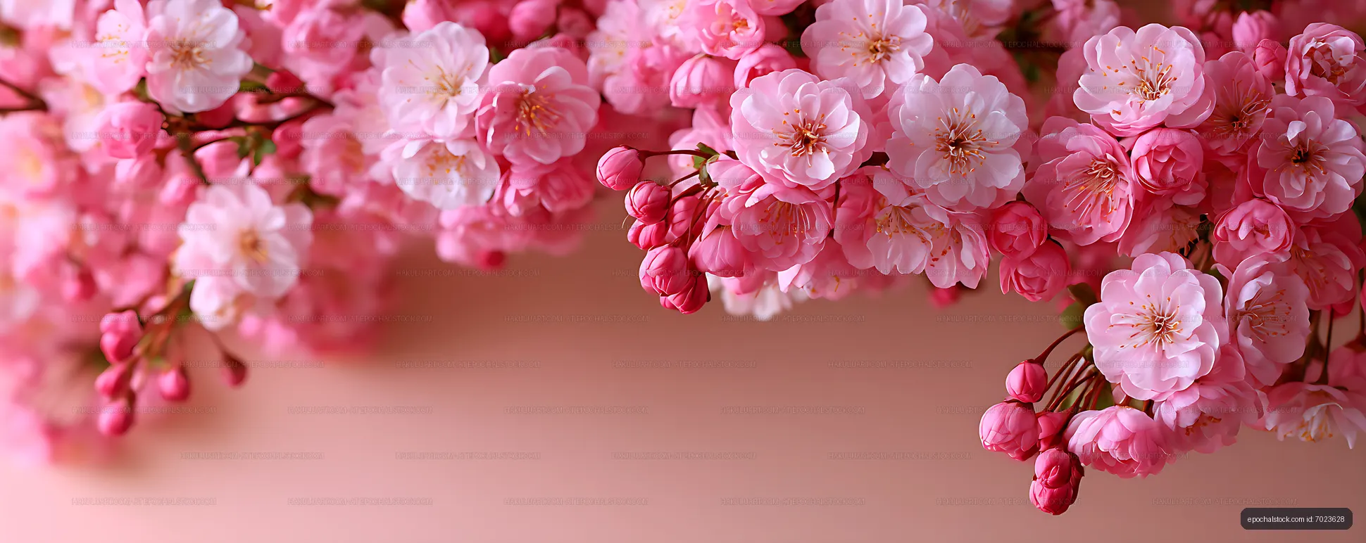 Pink floral branches framing a pastel background