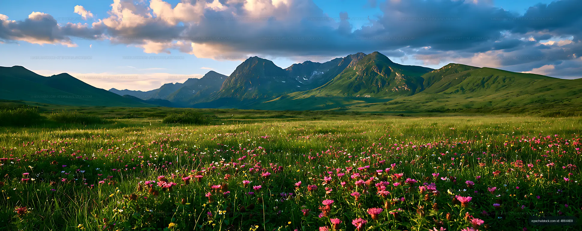 Panoramic wildflower field and green mountain valley
