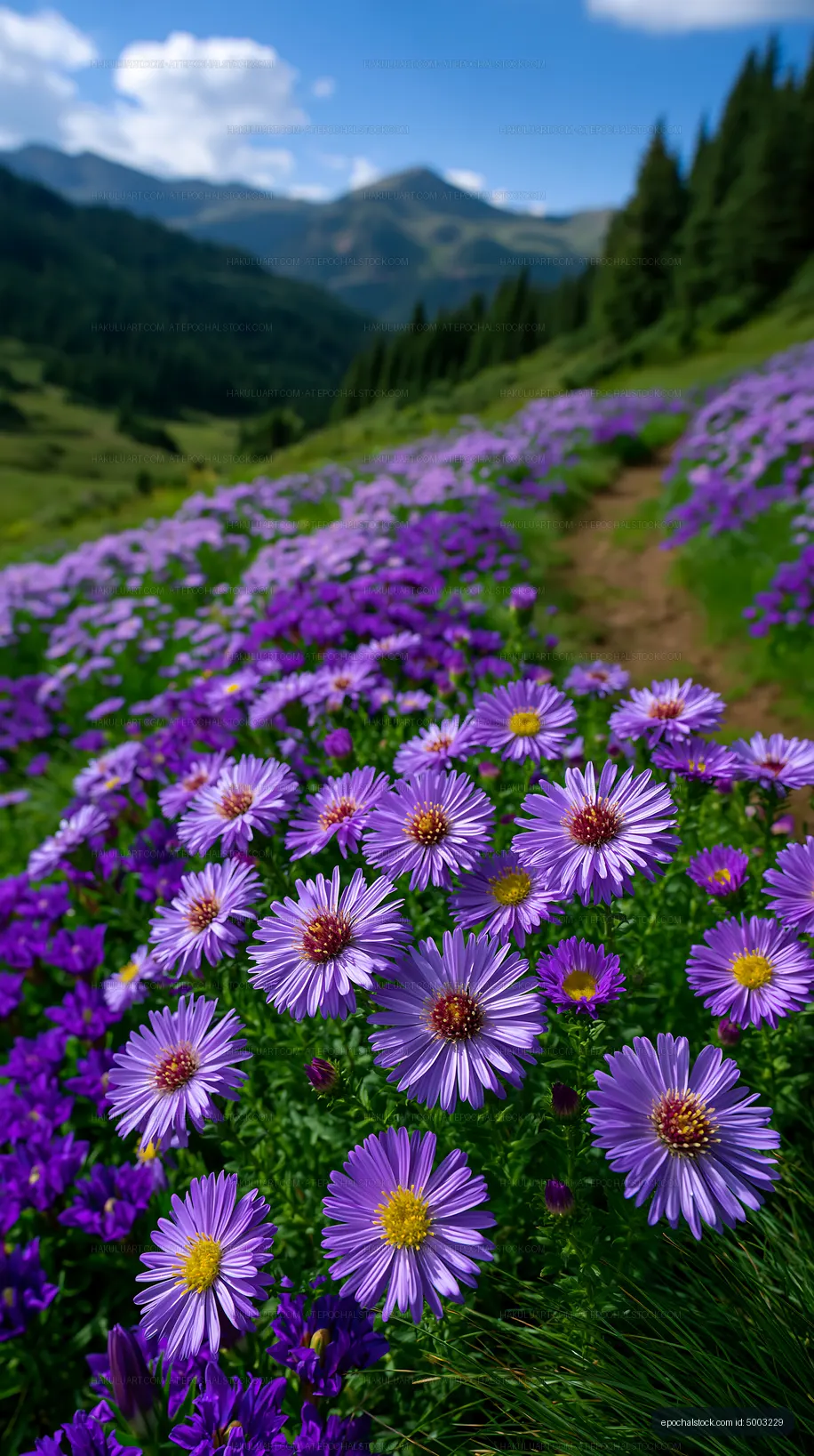 Lavender flowers with blurred mountains in the background