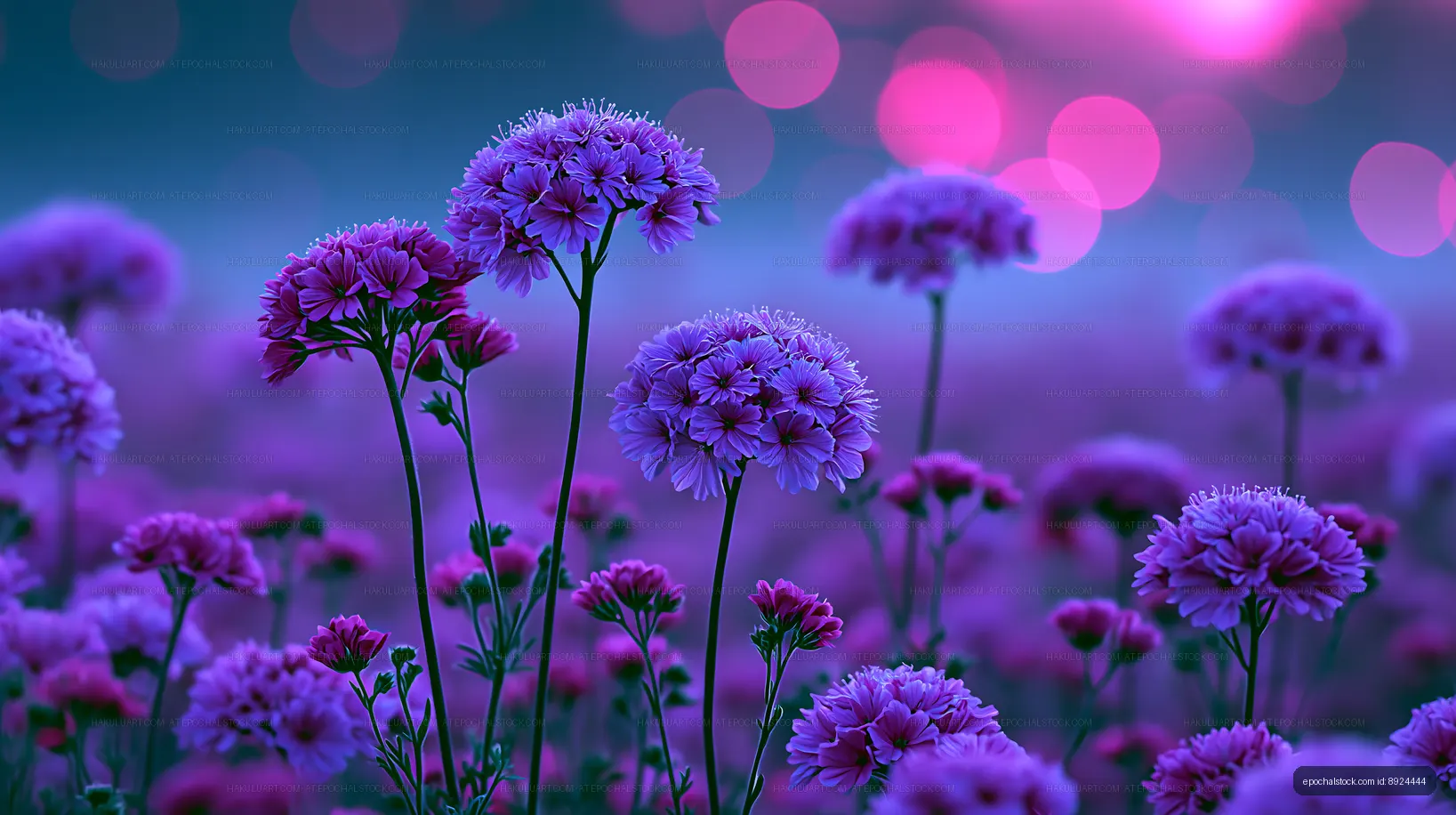Flowers blooming in a field at twilight with purple colors