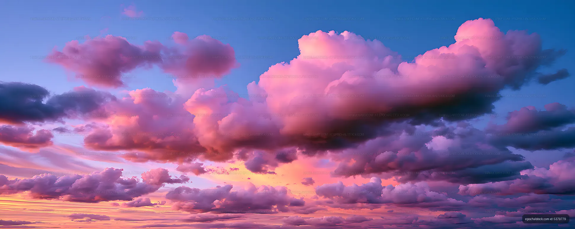 Panoramic pink clouds glowing in sunset light