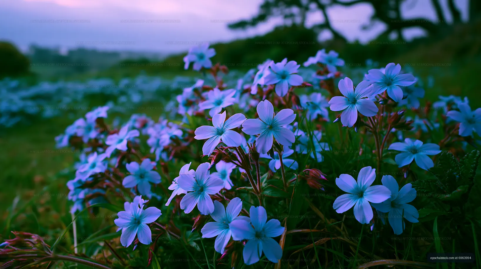 Flowers bloom in a field at dusk with purple hues in the sky