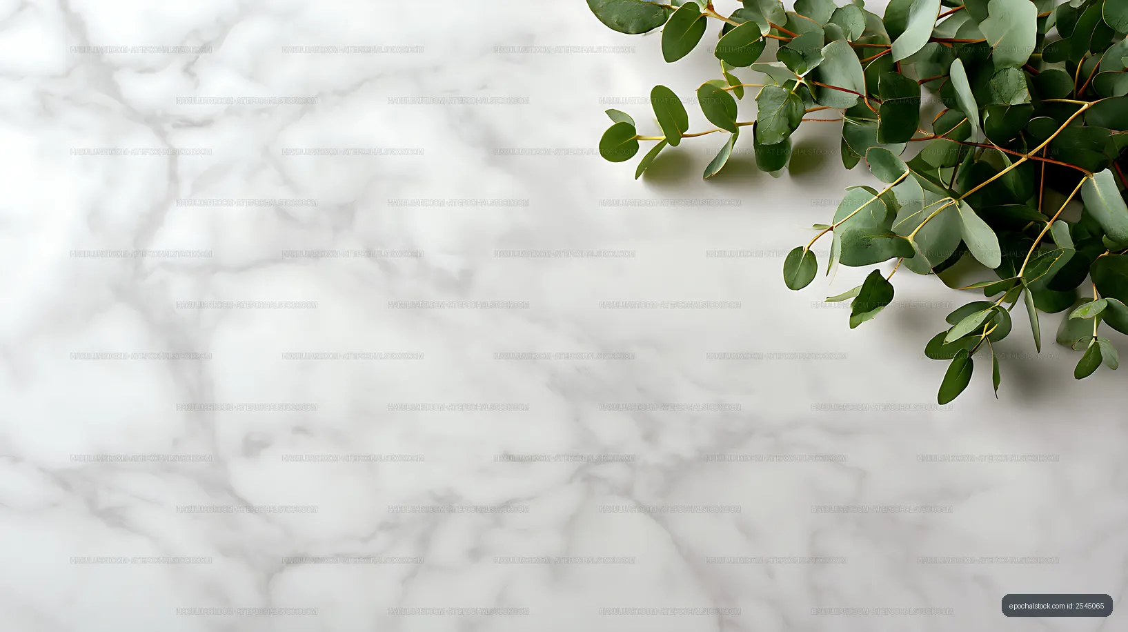 Botanical eucalyptus branches with copy space