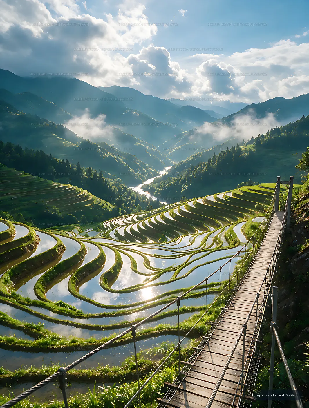 Sunlit terraced rice fields across a mountain valley