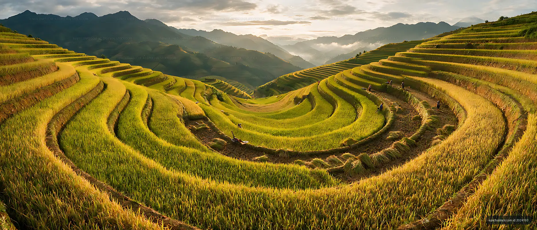 Terraced farmland and mountain ridges in golden evening light