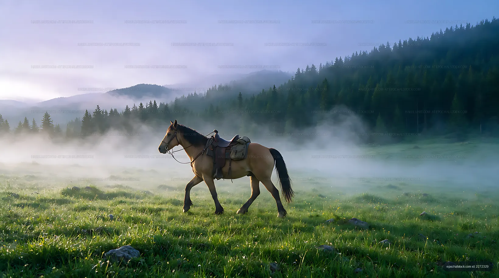 Saddled horse in a foggy mountain meadow