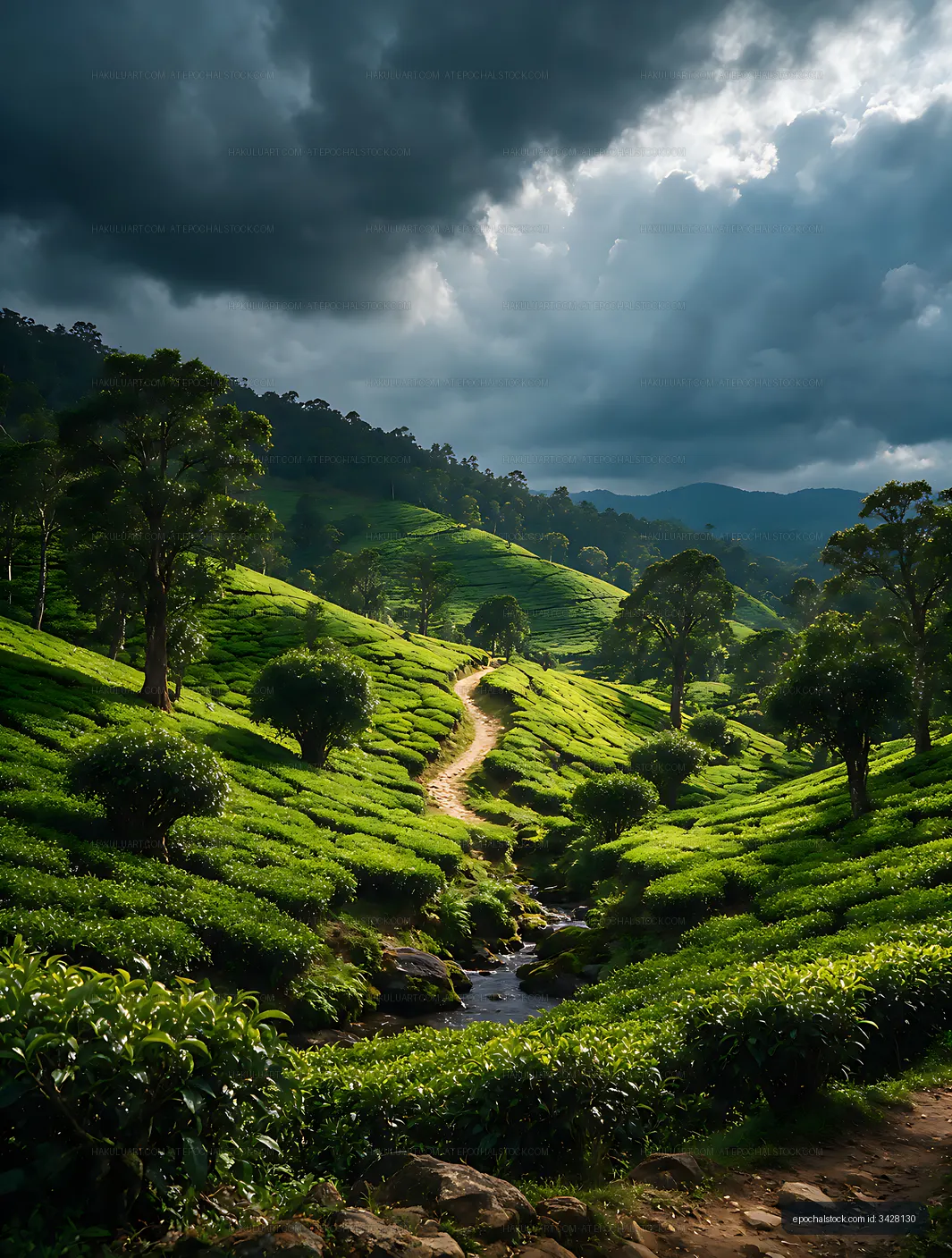Sunlit tea plantation landscape in a mountain valley