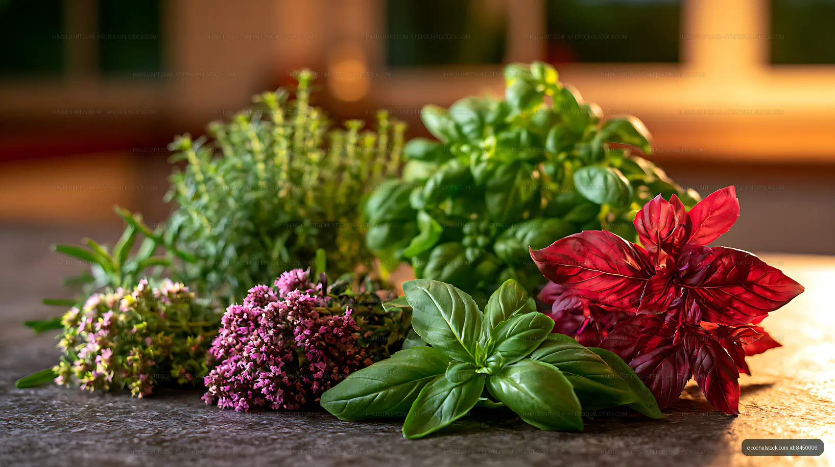 Botanical still life with herbs and colorful plants
