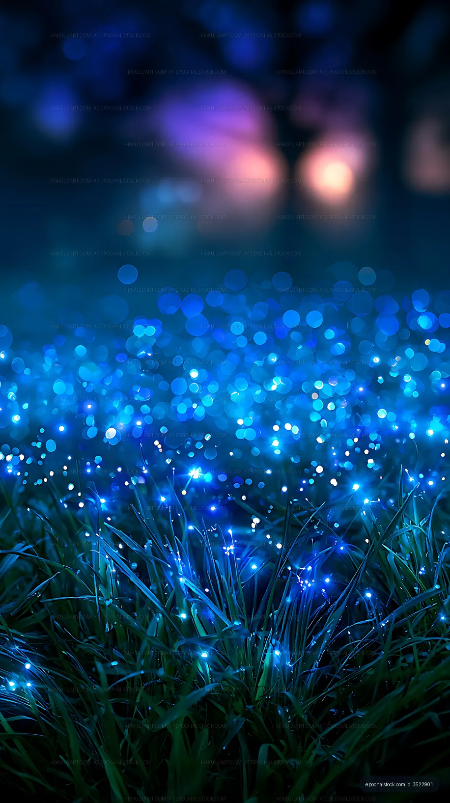 Abstract blue light bokeh over grass at night