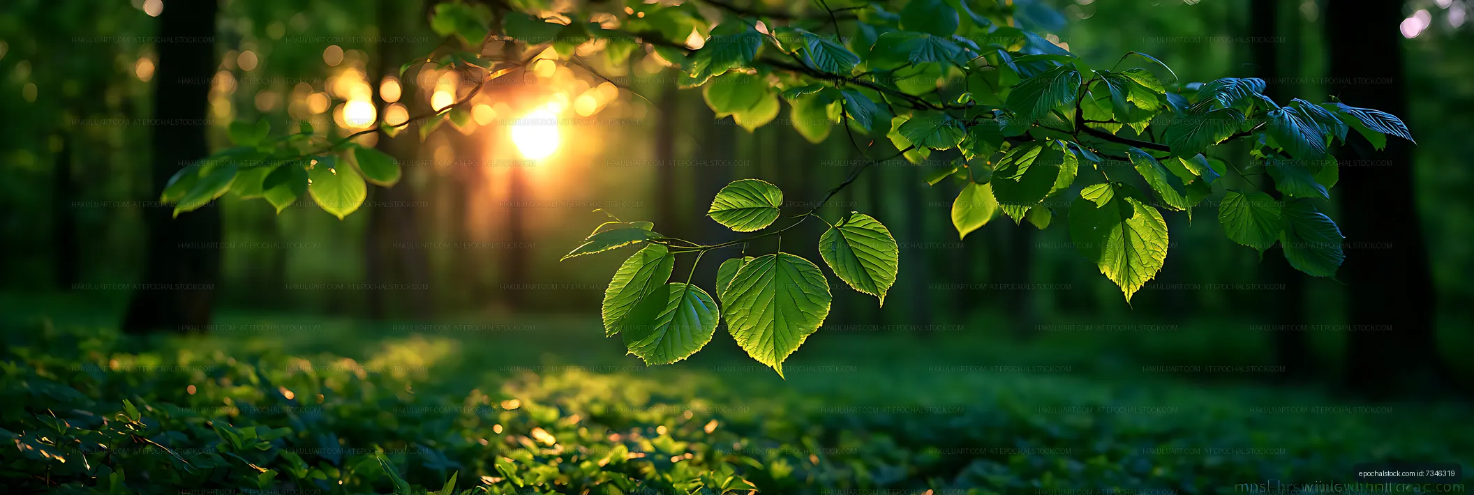 Fresh leaves illuminated by golden forest light