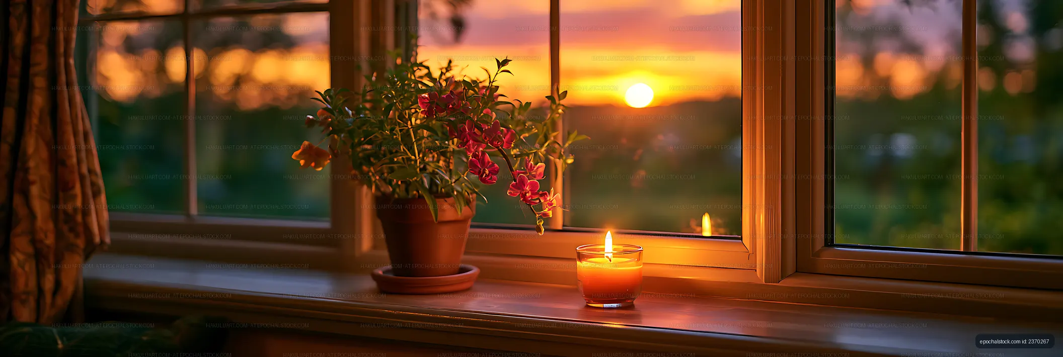 Flowering orchid and candle illuminated by sunset light
