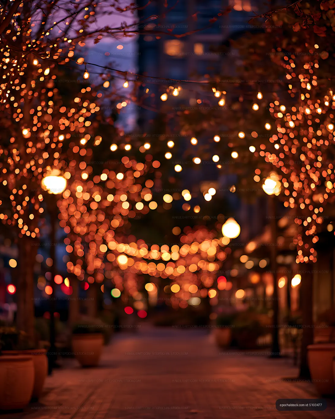 Festive lights and bokeh on a quiet tree-lined walkway