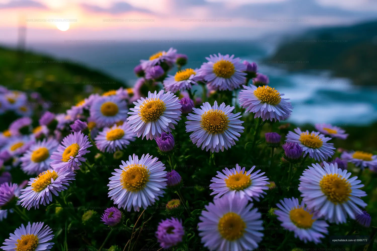 Colorful flowers bloom on a hillside near the ocean at sunset