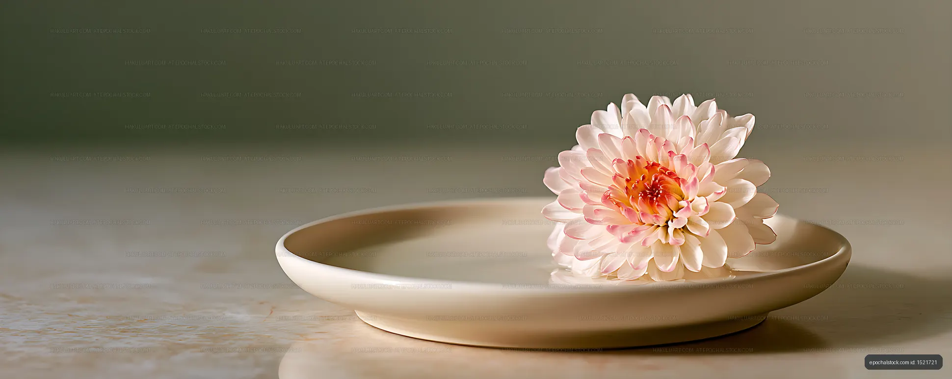 Pink and white blossom in water-filled ceramic dish