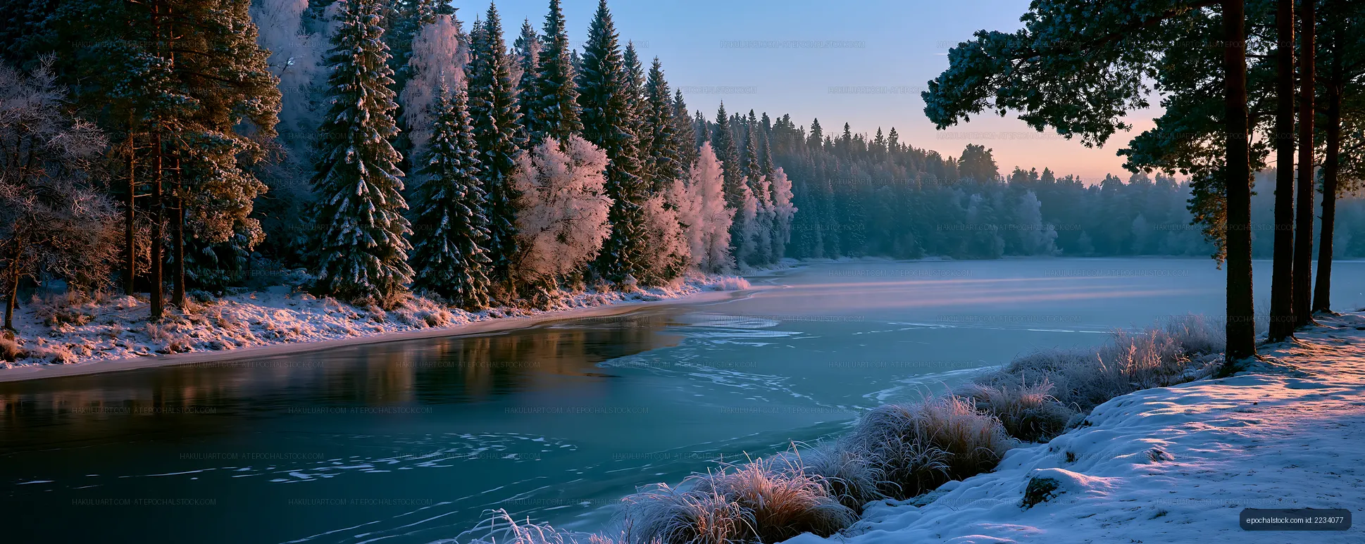 Winter lake framed by snow-covered woodland