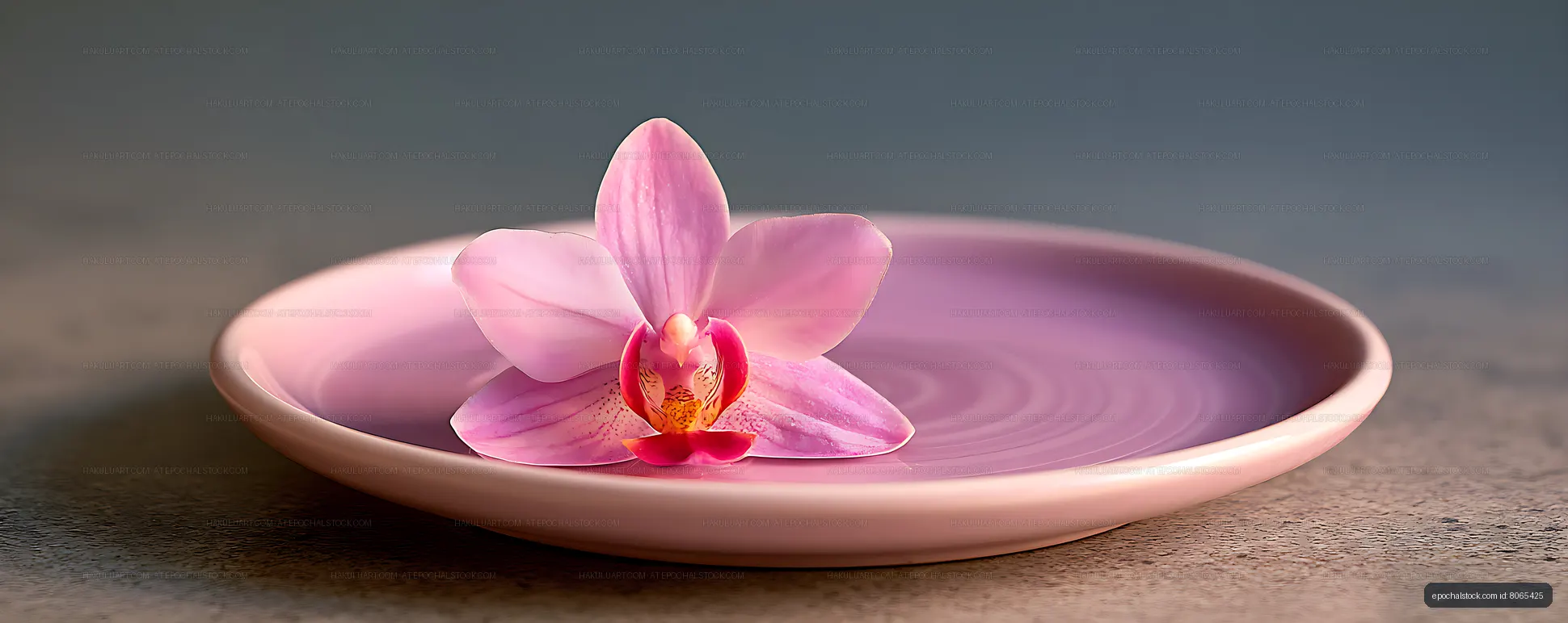 Pink orchid flower floating in a water-filled dish