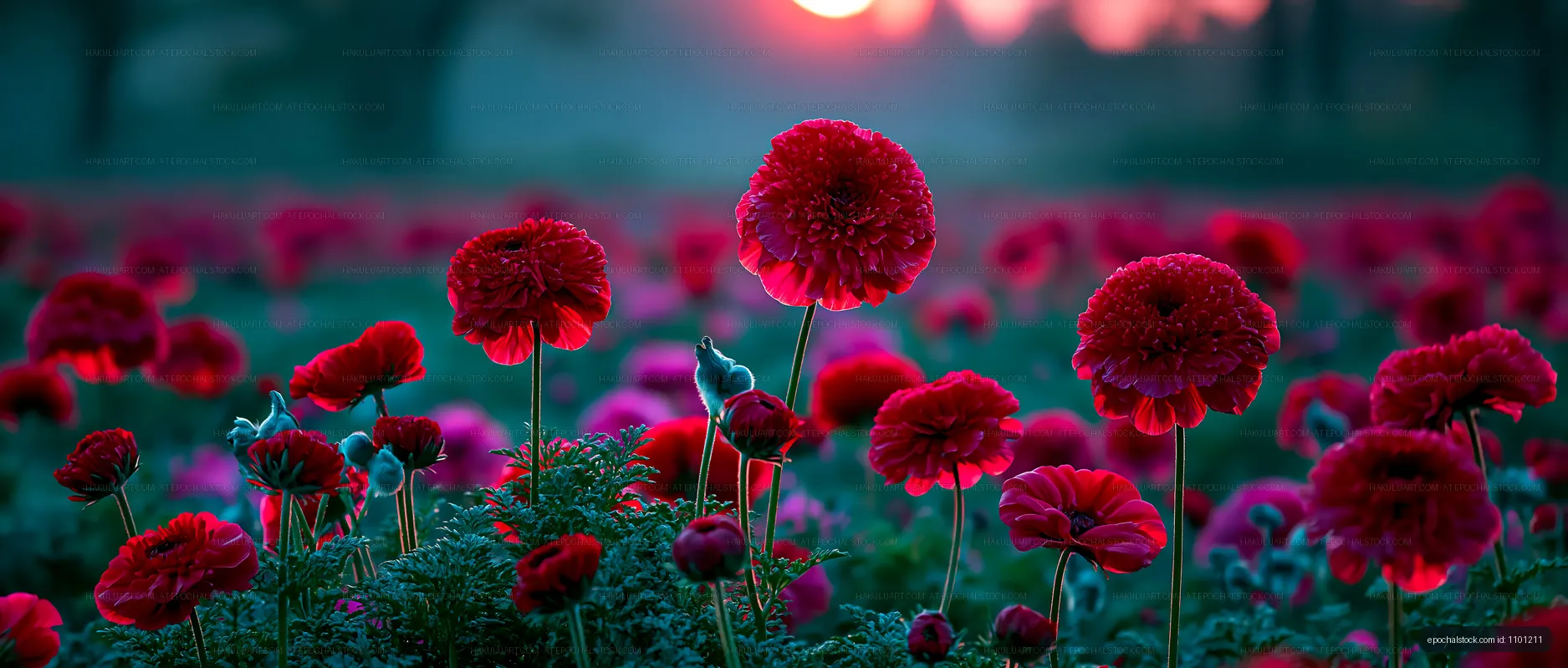Vibrant field of red flowers at sunset