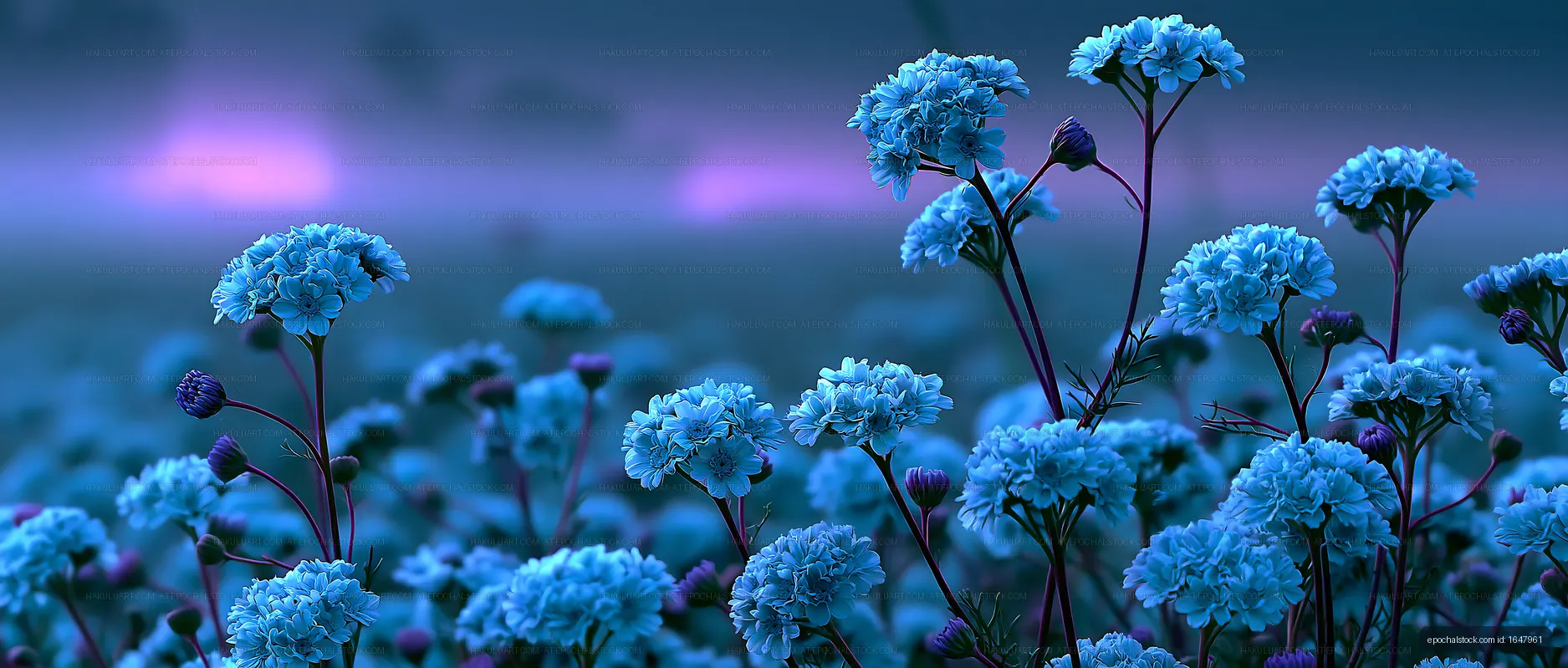 Blue flowers in a field during twilight
