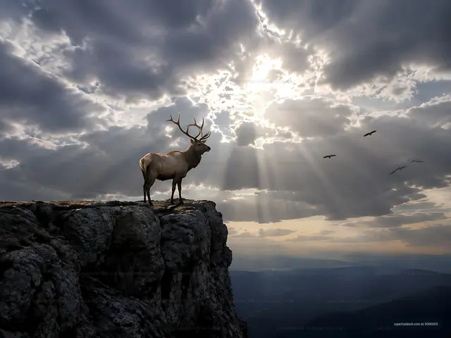 Stag standing on cliff with dramatic clouds and sunlight