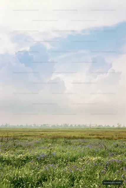 Green field under blue sky with clouds