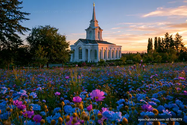Colorful flowers bloom near church at sunset
