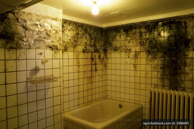 Mold growth in a bathroom with tiles and light fixture