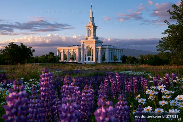 Sunset view of a church with flowers in the foreground
