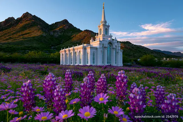 Beautiful church surrounded by purple flowers and mountains