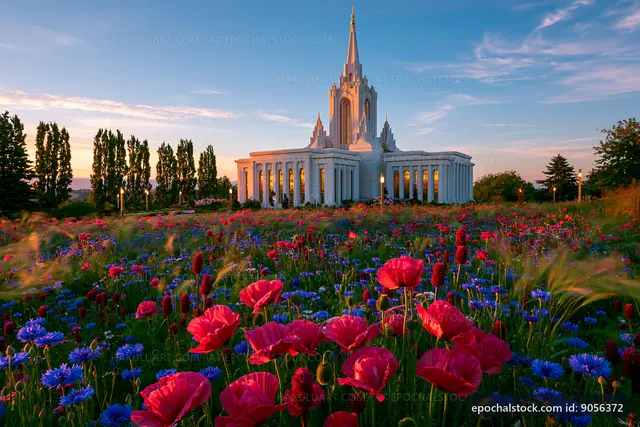 Flower field with a temple during sunset