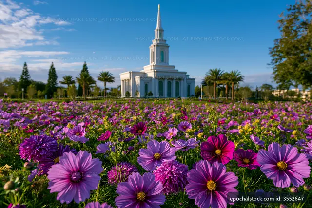 Colorful flowers in front of a white church under a clear sky