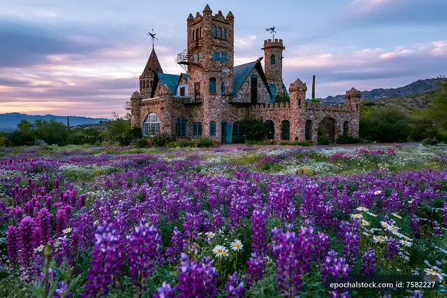 Stone castle surrounded by wildflowers at sunset