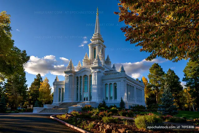 Elegant church building surrounded by trees in bright sunlight