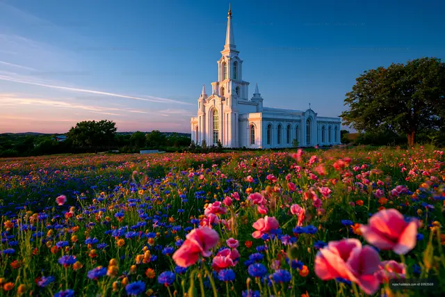 Colorful flowers surround a white church at sunset