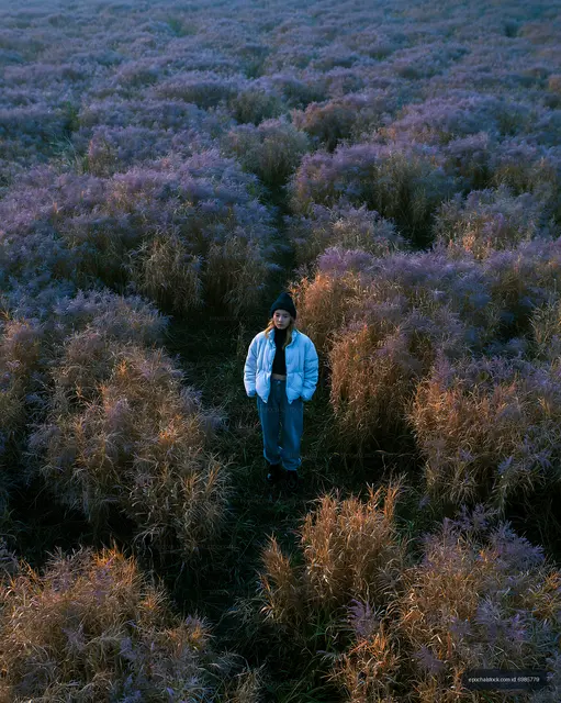 Standing among tall grass in a field at sunset