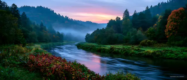 River flowing through a forested landscape at sunset