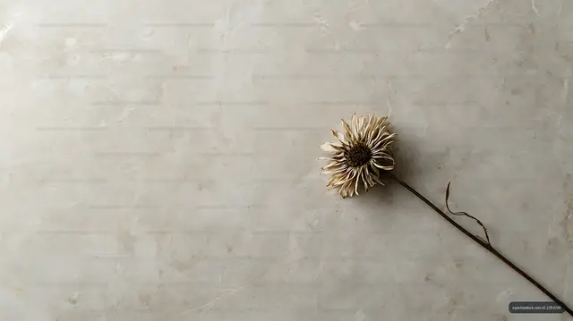 Minimal dried flower with generous copy space