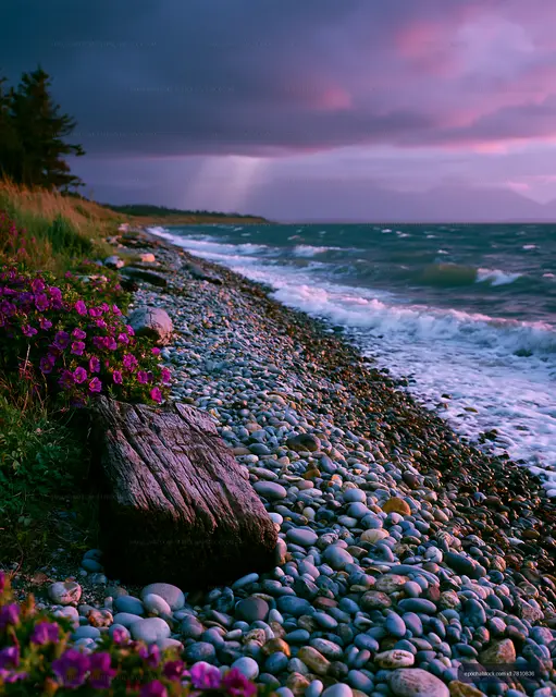 Coastal pebble shore beneath pink and purple clouds