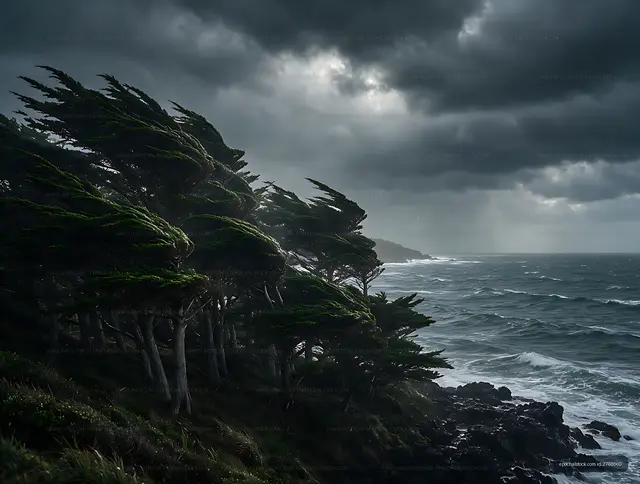 Storm clouds over windblown coastal trees